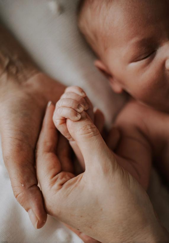 Babyhand - Beikosteinführung und Ernährungsberatung